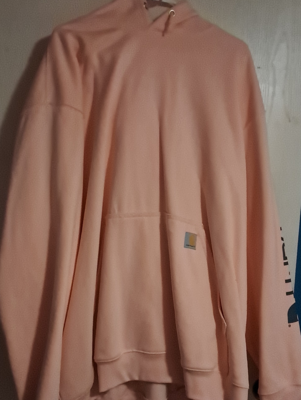 Carhartt Peach Hoodie Pullover in Soft Peach